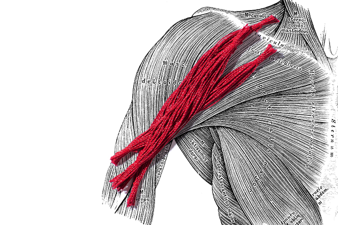 perda de massa muscular