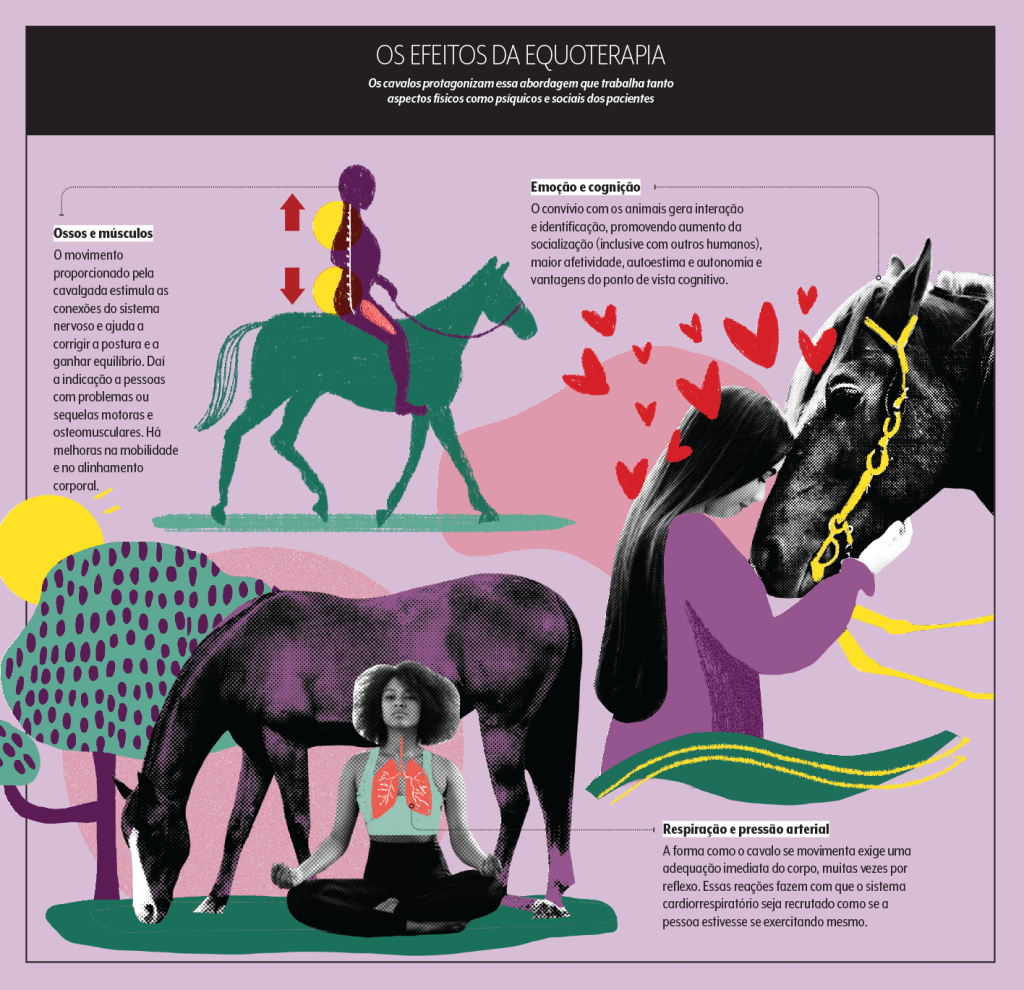 Equoterapia Equoterapia