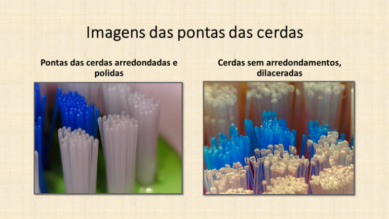 Cerdas em visão microscópica