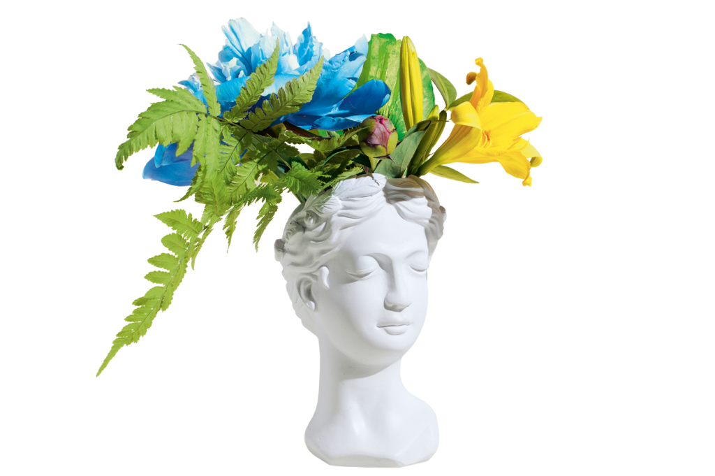foto de cabeça de estátua grega com plantas em cima dela