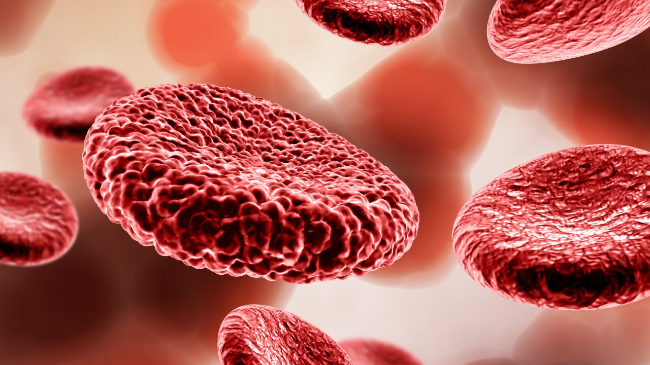 o-que-e-talassemia