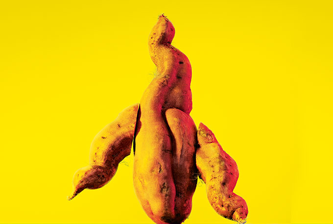 Cientistas criam batata-doce fortificada com vitamina A