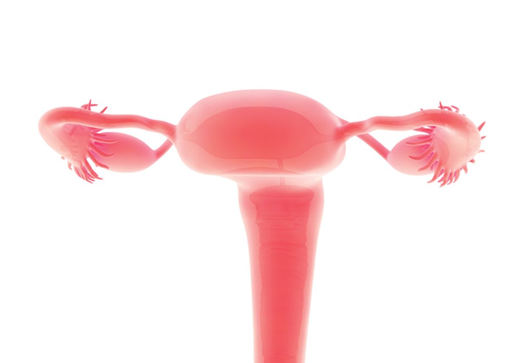 Envelhecimento ovariano não precisa ser inimigo do bem-estar