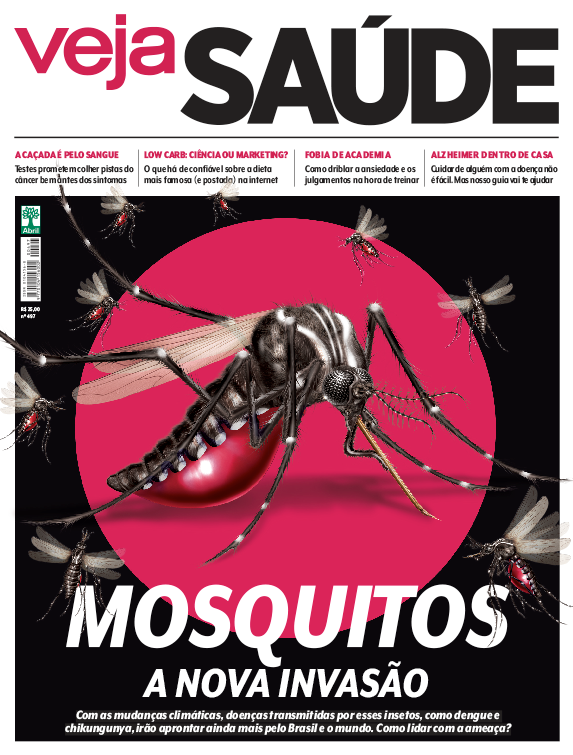 Mosquitos: a nova invasão 