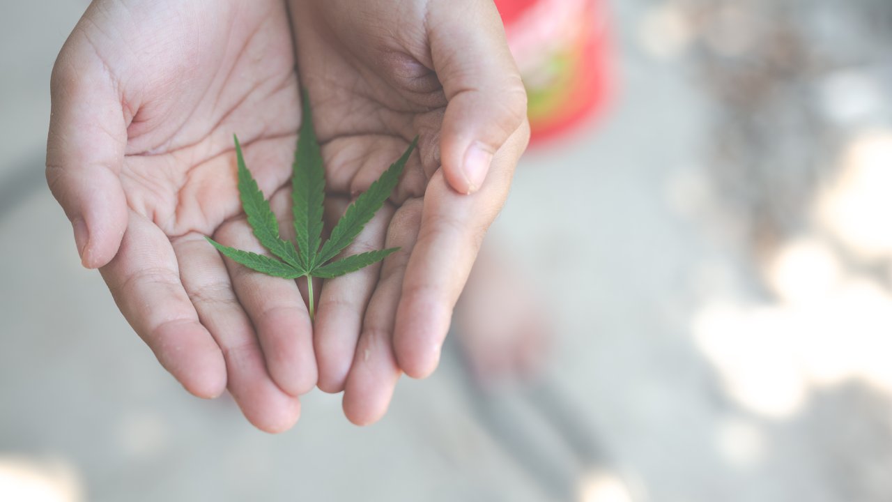 Autismo-extrato-de-cannabis