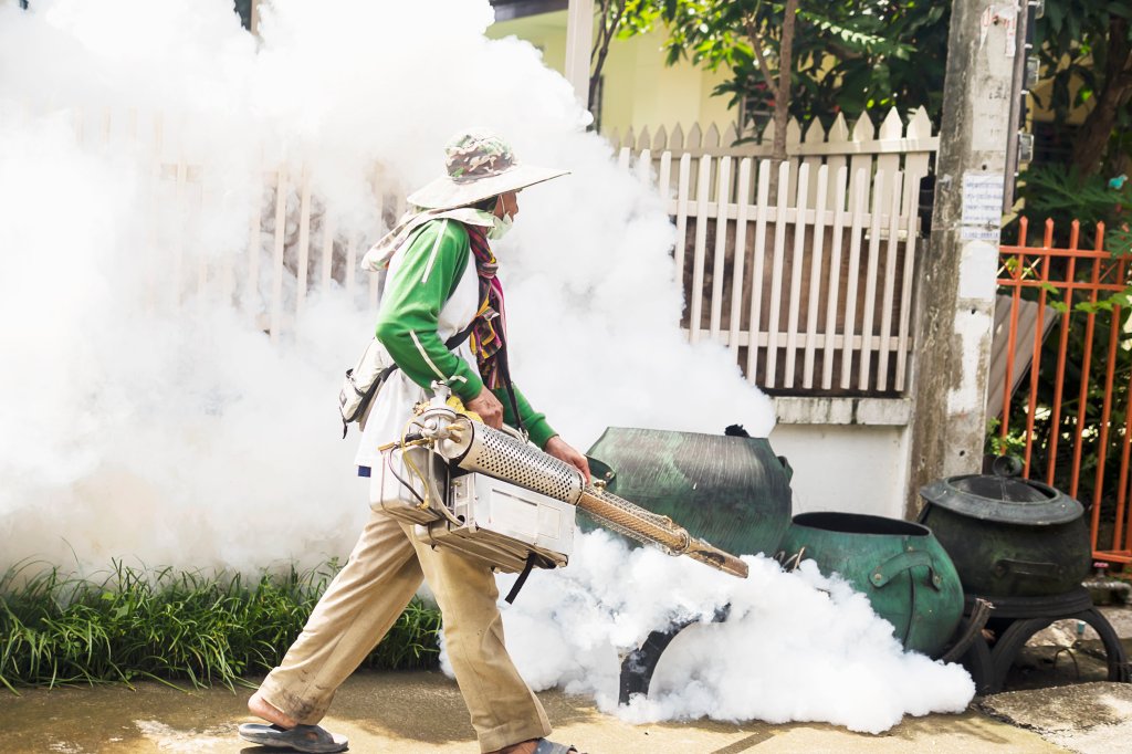 dengue-fim-do-verao-pode-dar-tregua-na-epidemia-mosquito-aedes-aegypti