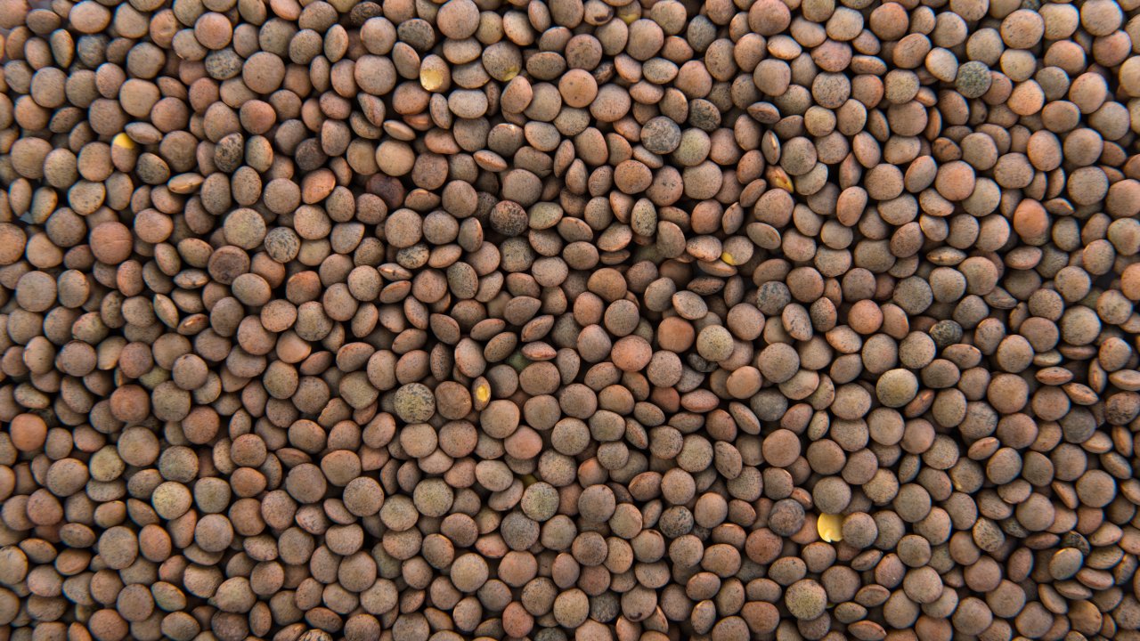 lentilha-o-que-e-quais-os-beneficios-do-alimento-versatil-no-prato-e-organismo
