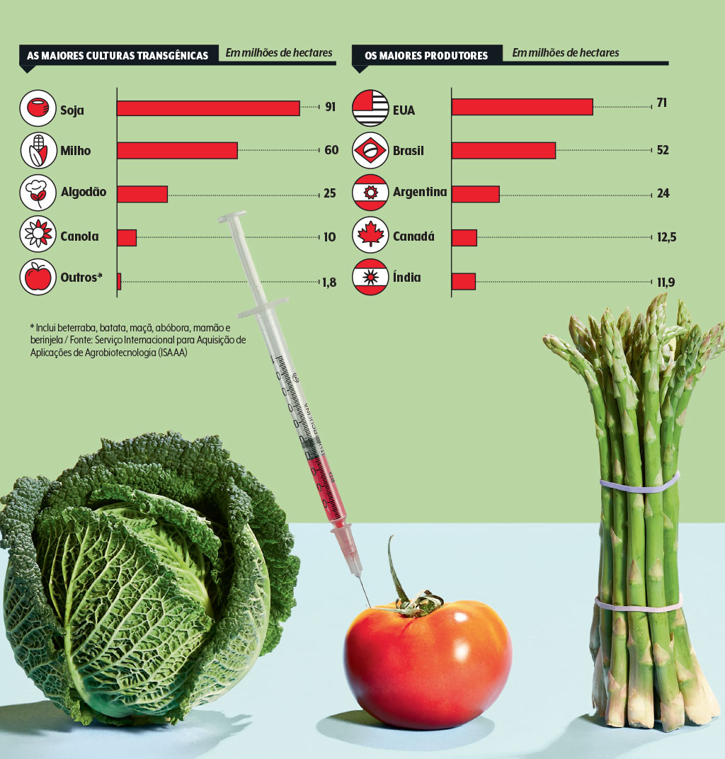saude-alimentacao-alimentos-transgenicos-estatisticas saude-alimentacao-alimentos-transgenicos-estatisticas