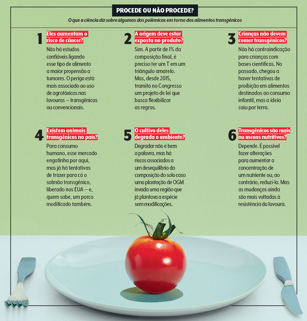 saude-alimentacao-alimentos-transgenicos-mitos-verdades saude-alimentacao-alimentos-transgenicos-mitos-verdades