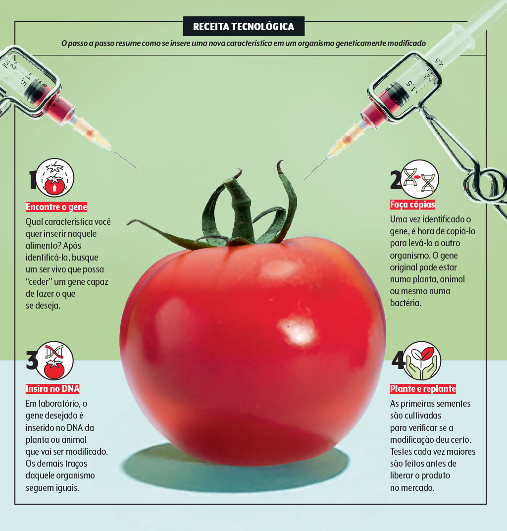 saude-alimentacao-alimentos-transgenicos-tecnologia saude-alimentacao-alimentos-transgenicos-tecnologia