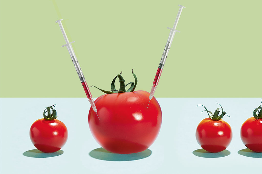 saude-alimentacao-alimentos-transgenicos