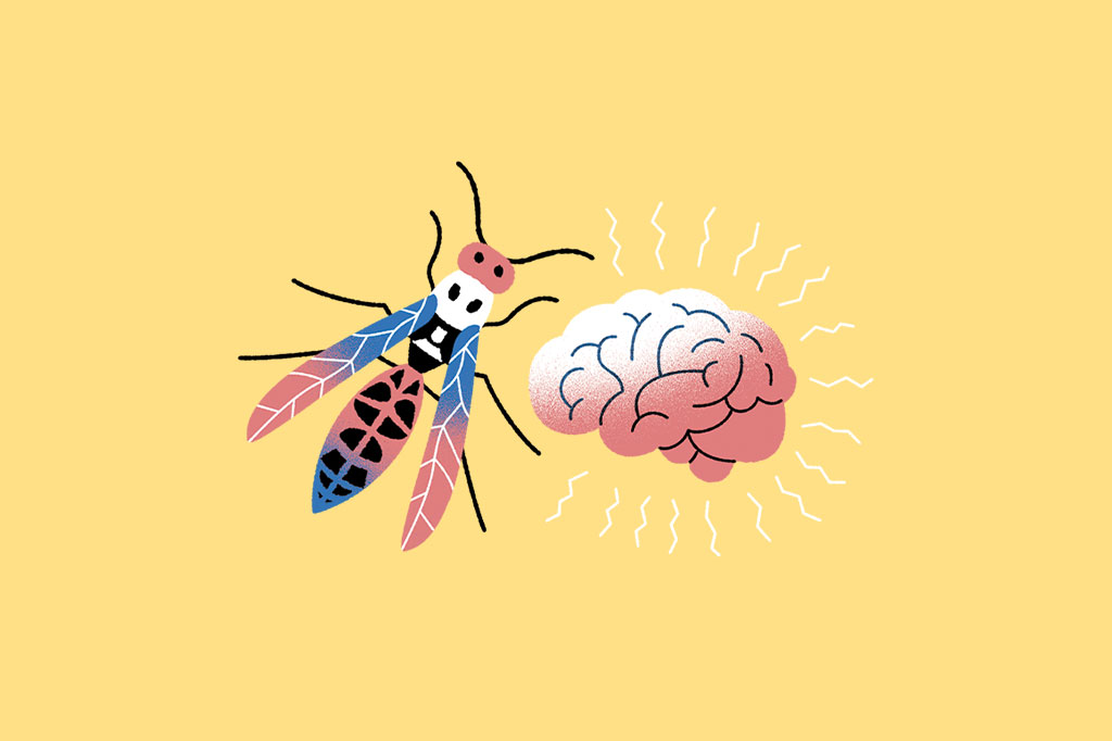 vespa-cerebro