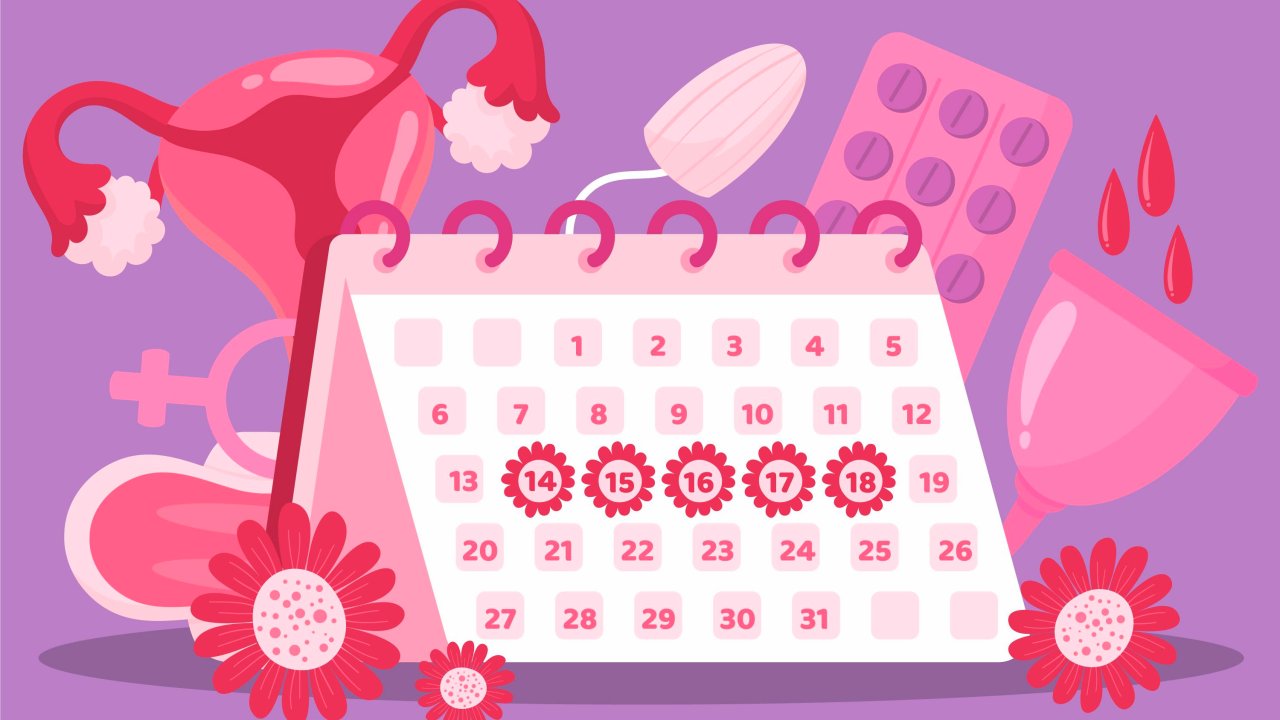periodo-fertil-calendario-tabelinha-como-saber-momento-do-mes-ovulacao-menstruacao-gravidez