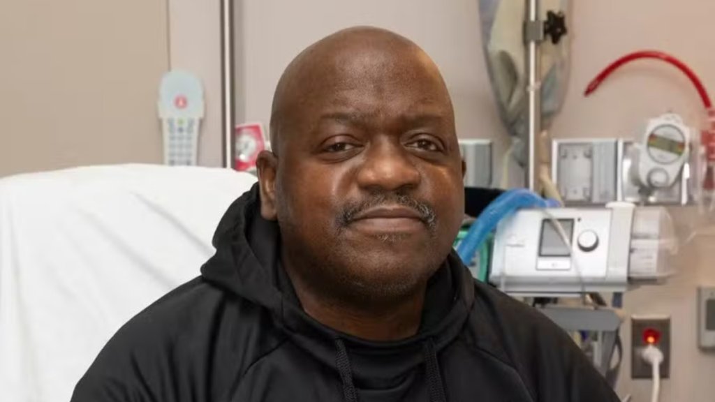 Rim de porco? Entenda o que é e quando é feito o xenotransplante