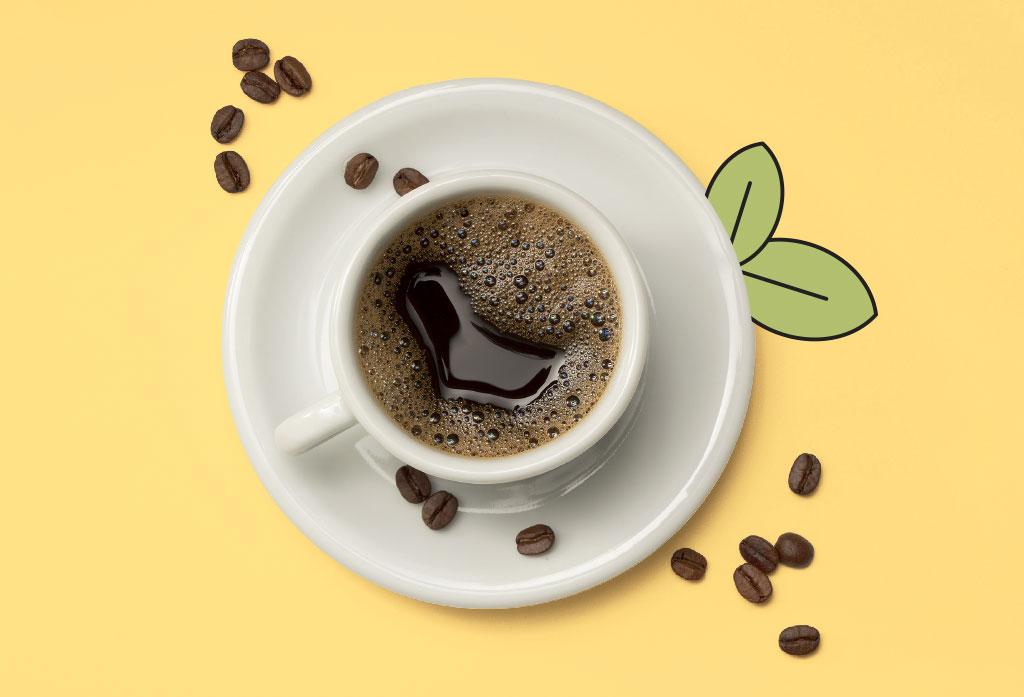 Cultivo de café no país é valorizado por iniciativas sociais e ambientais