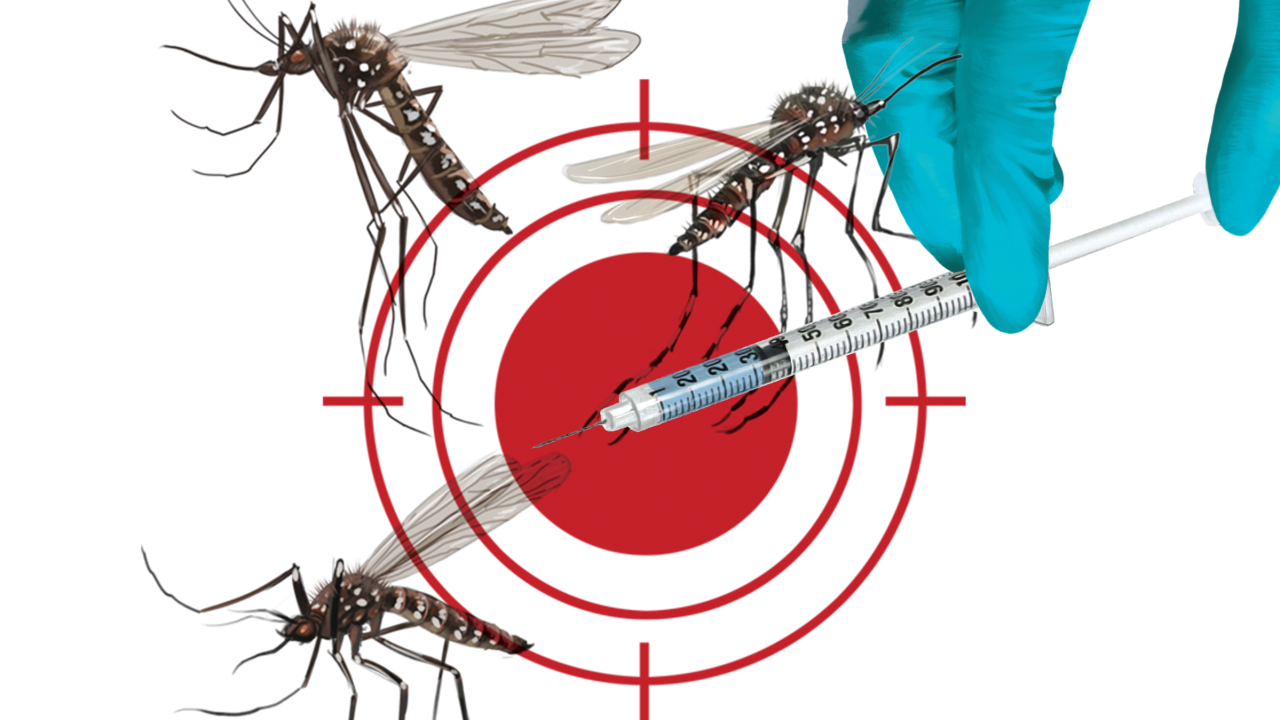 vacina-dengue-prevencao