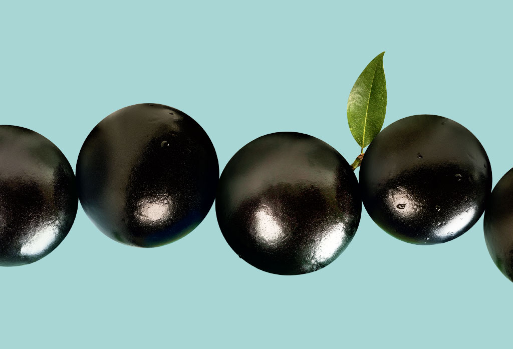 beneficios-jabuticaba-casca