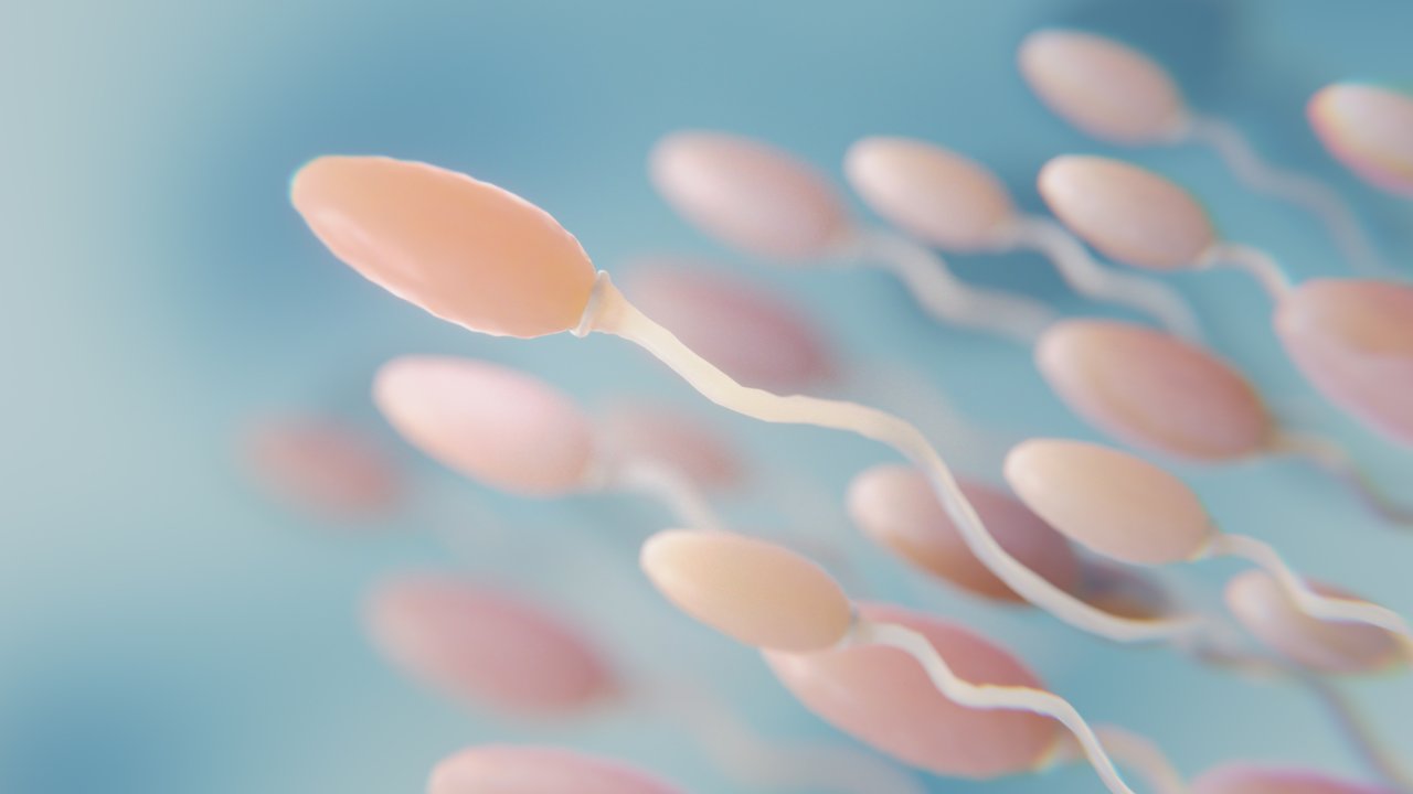 espermograma-como-funciona-o-exame-semen-fertilidade-masculina-espermatozoides