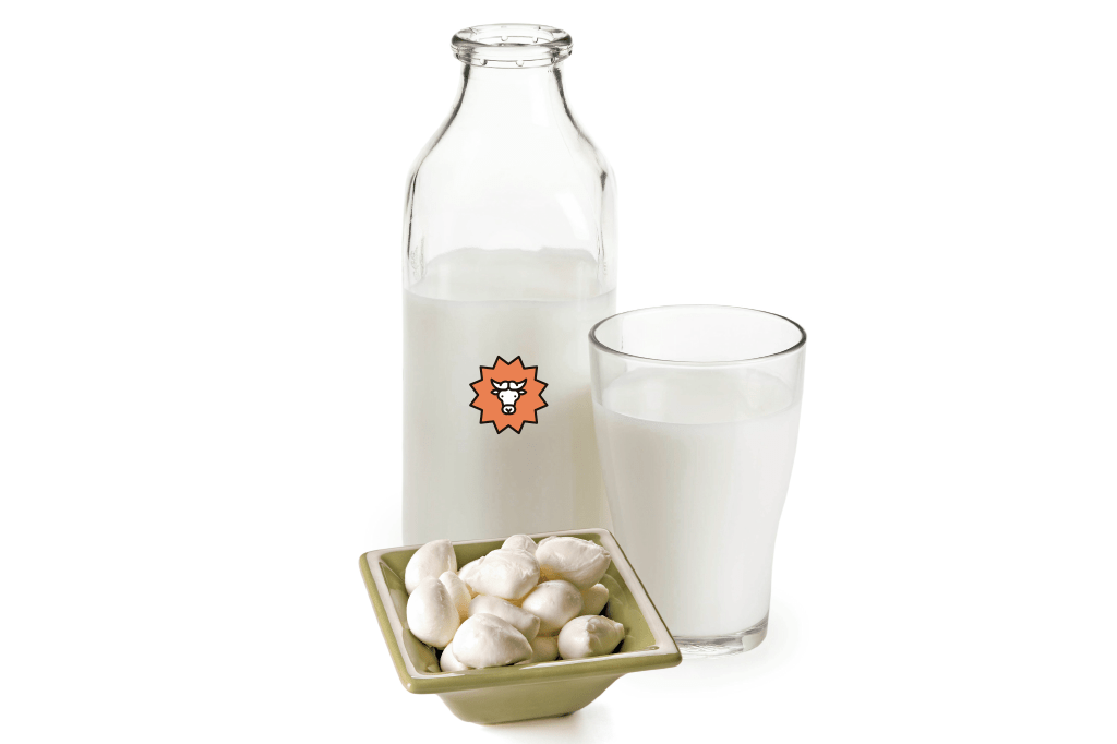 Laticínios de búfala são mais nutritivos que os de vaca?