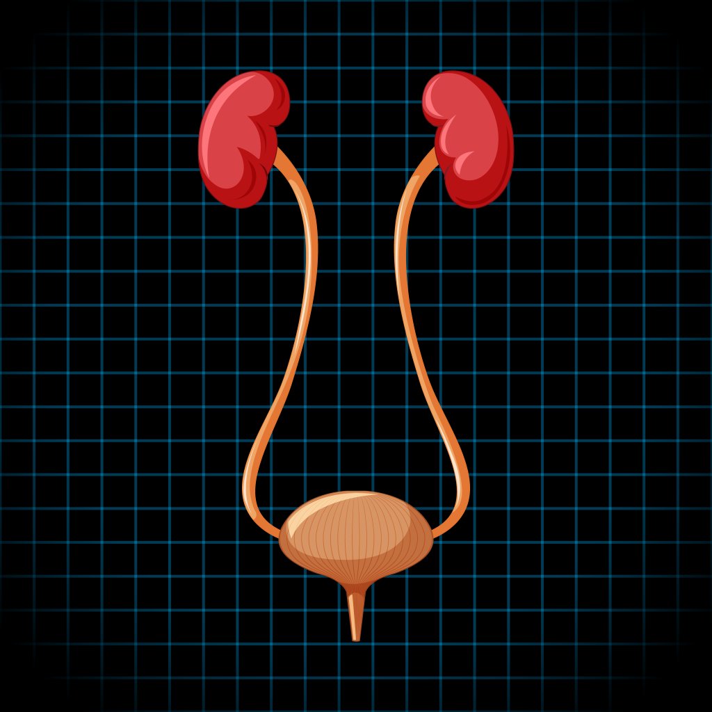 Julho Roxo conscientiza sobre o câncer de bexiga. Como tratá-lo?