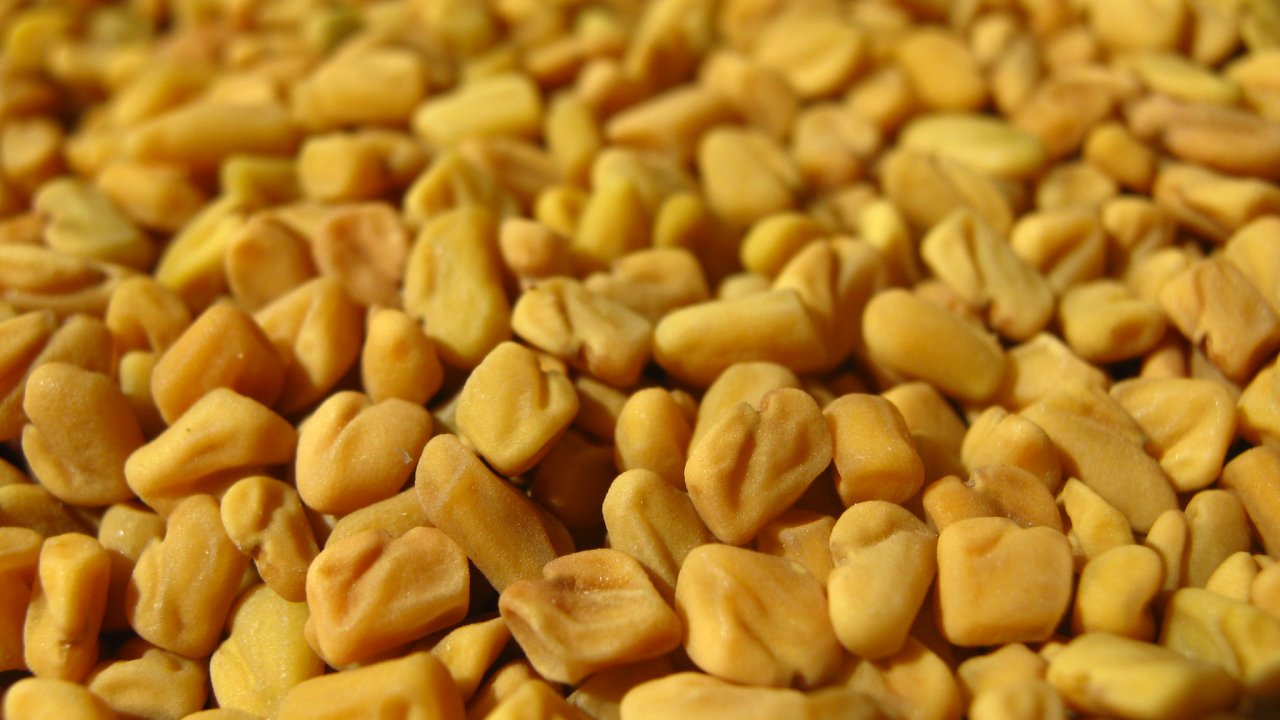 feno-grego-methi