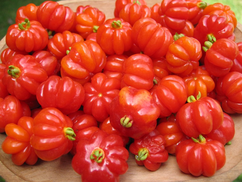 Pitanga: conheça 5 benefícios da fruta brasileira à saúde